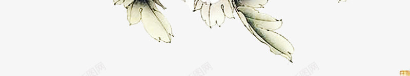 中国古风水墨花手绘水彩植物花卉装饰透明ps30中国png免抠素材_新图网 https://ixintu.com 中国 古风 水墨 手绘 水彩 植物 花卉 装饰 透明 ps30