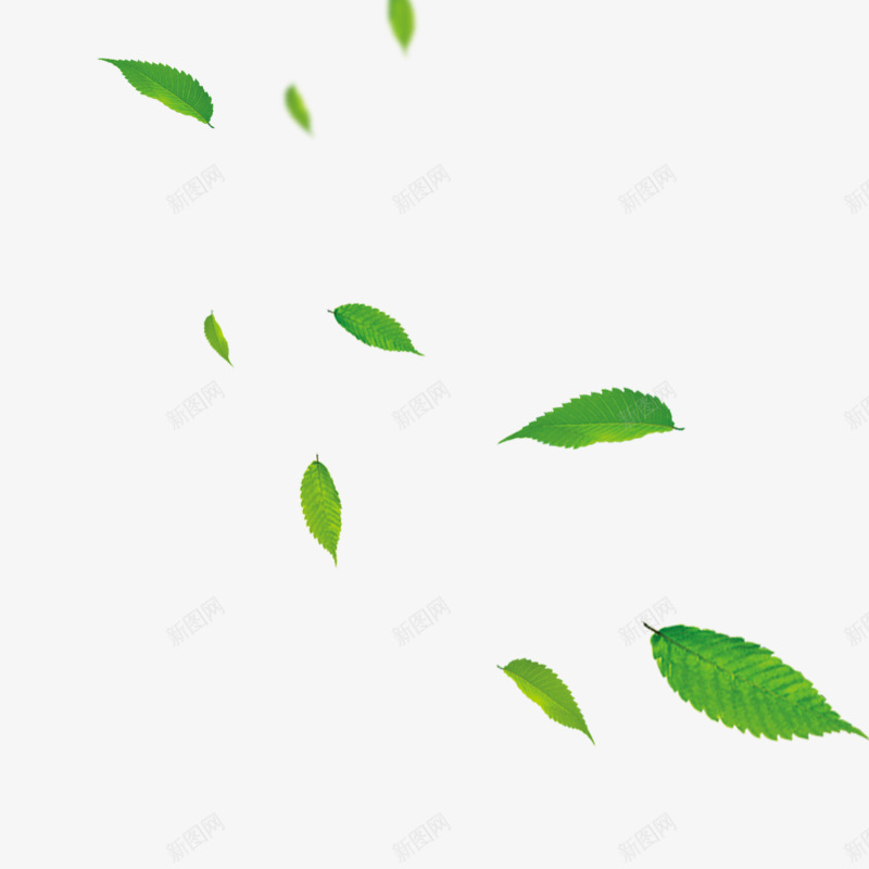 树叶叶子免扣绿色植物png免抠素材_新图网 https://ixintu.com 树叶 叶子 免扣 绿色植物