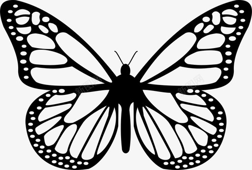蝴蝶野生动物动物翅膀图标