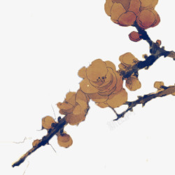 中国古风水墨花手绘水彩植物花卉装饰透明ps109中素材