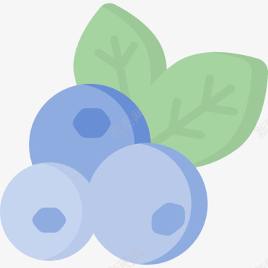 蓝莓健康食品52平淡图标