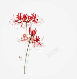 中国古风水墨花手绘水彩植物花卉装饰透明ps384中素材