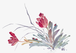 中国古风水墨花手绘水彩植物花卉装饰透明ps403中素材