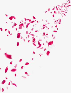 落地玫瑰花瓣真实飘落飘洒散落粉红色玫瑰花瓣高清免扣158真实飘高清图片