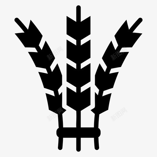 大麦罗勒植物学svg_新图网 https://ixintu.com 农业 大麦 罗勒 植物学 植物 小麦 园艺 字形 矢量 矢量图 图标