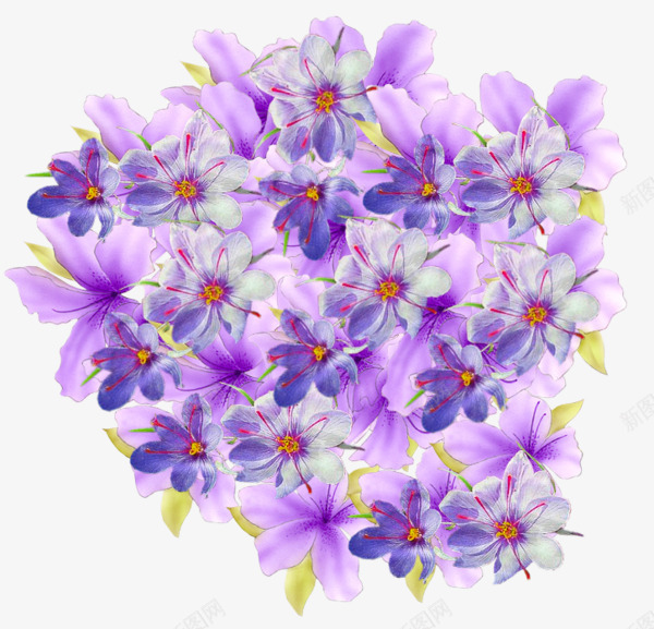 鲜花花朵花卉紫色鲜花丛花丛的旅程3植物鲜花透png免抠素材_新图网 https://ixintu.com 旅程 植物 紫色 花丛 花卉 花朵 鲜花 鲜花丛