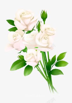鲜花白色玫瑰花手绘花卉涂设计素材