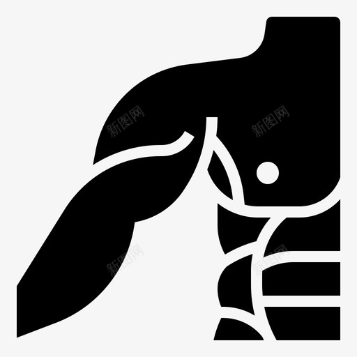 肌肉腹部身体svg_新图网 https://ixintu.com 人体 肌肉 腹部 身体 胸部 器官