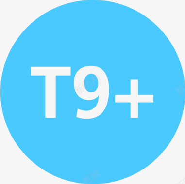 T9图标
