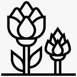 蔬菜生产洋蓟农业新鲜高清图片