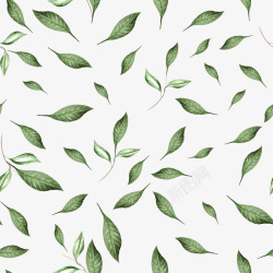 春季雪莲花卉植物装饰透明图案AI矢量剪贴画海报印刷素材