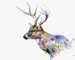 水彩手绘梦幻麋鹿小鹿免扣透明57水彩手绘梦幻麋鹿小素材