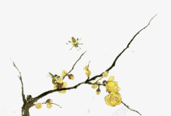 水彩手绘桂花中国古风中秋唯美装饰透明ps118水彩素材