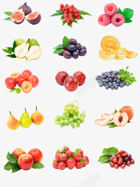水果蔬菜免扣采集者食材蔬菜水果免扣画板精细图标