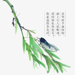 中国古风水墨柳树柳枝透明后期美化装饰设计21中国古素材