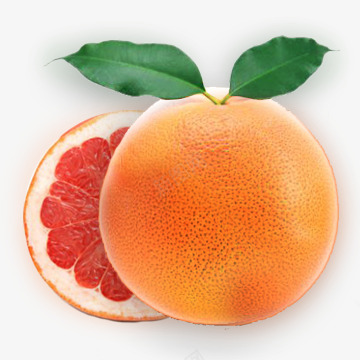 葡萄柚收集水果坚果png免抠素材_新图网 https://ixintu.com 葡萄柚 收集 水果 坚果