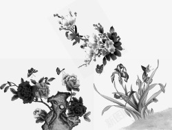 中国古风水墨花手绘水彩植物花卉装饰透明ps273中素材