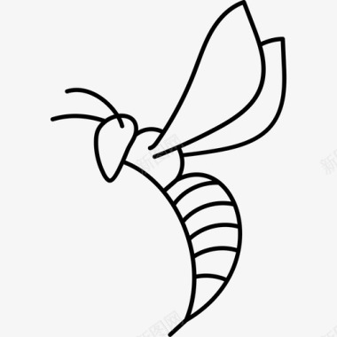蜜蜂动物嗡嗡声图标