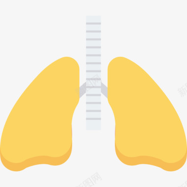 肺健康和健康平坦图标