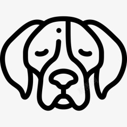8种猎犬犬种8直系高清图片