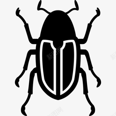 宝石甲虫动物虫子图标