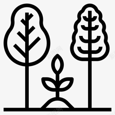 植物生长生态森林图标