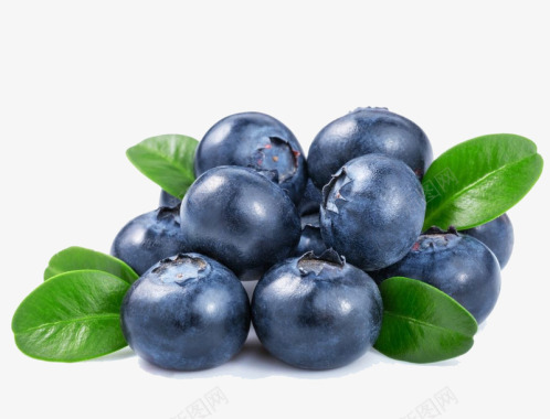 水果蓝莓免扣两秒视觉食材蔬菜水果免扣画板精细划分标图标
