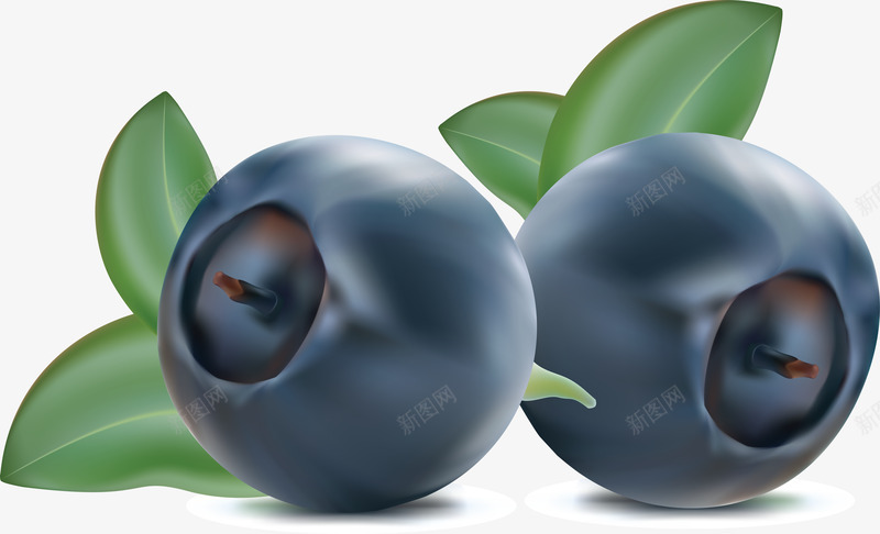 蓝莓熊果苷蓝莓蓝莓熊果苷png免抠素材_新图网 https://ixintu.com 蓝莓 熊果苷