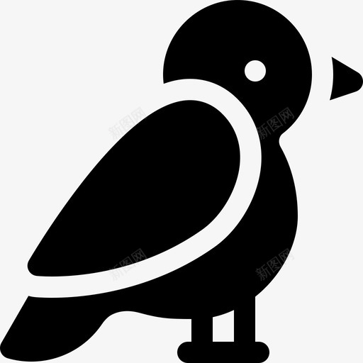 北极燕鸥冬季自然22填充svg_新图网 https://ixintu.com 北极 燕鸥 冬季 自然 填充
