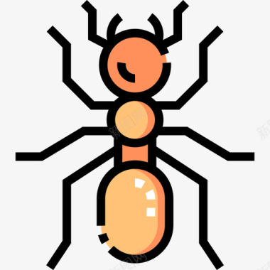 蚂蚁昆虫46线形颜色图标