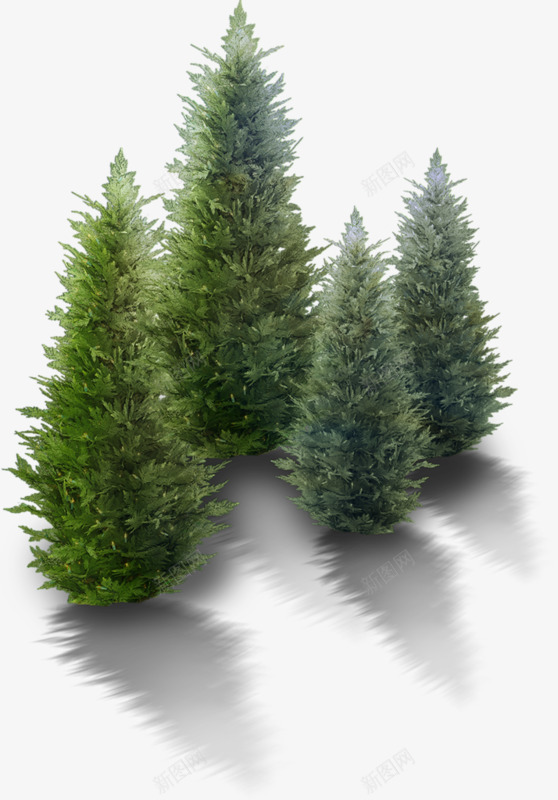 NewYearsfirtree23missisbepng_新图网 https://ixintu.com NewYearsfirtree23missisbe
