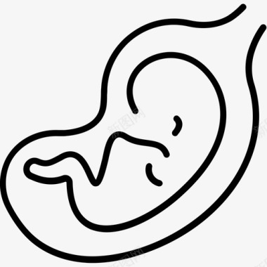胚胎学婴儿发育图标