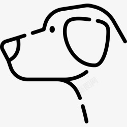 14种拉布拉多猎犬犬种14直系高清图片