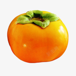 柿子image水果合辑素材