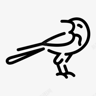 喜鹊动物鸟图标