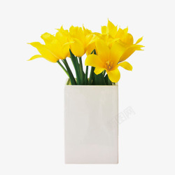 免扣透明白色花瓶黄色百合花卉素材