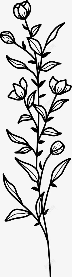 花卉植物插图图免扣绿植高清素材