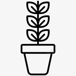 草坪植物室内植物草坪植物自然高清图片