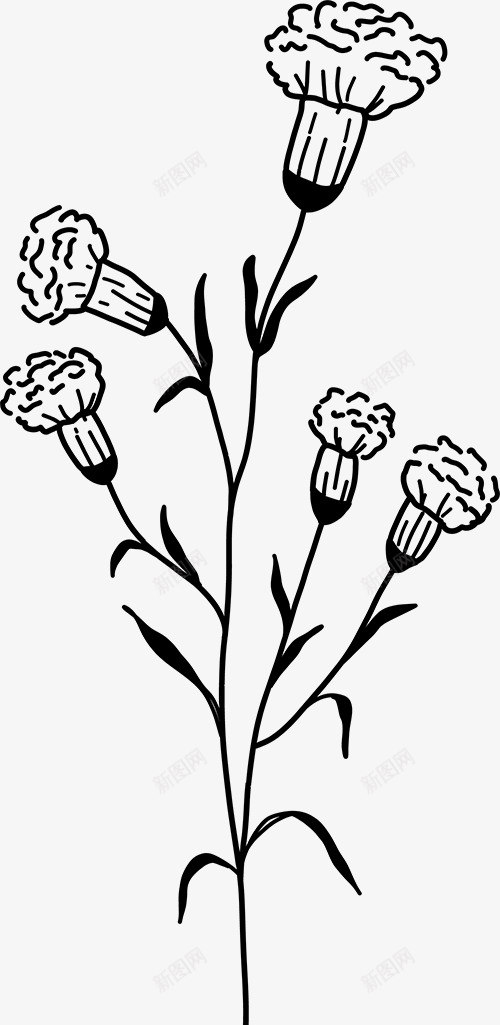 花卉植物插图图免扣绿植高清png免抠素材_新图网 https://ixintu.com 花卉 植物 插图 图免 绿植 高清