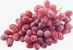 无籽葡萄葡萄水果素材