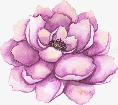 粉色牡丹花卉图专辑Vol011粉色牡丹图标
