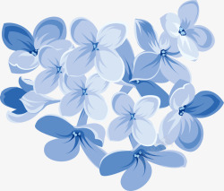 蓝色花2植物素材