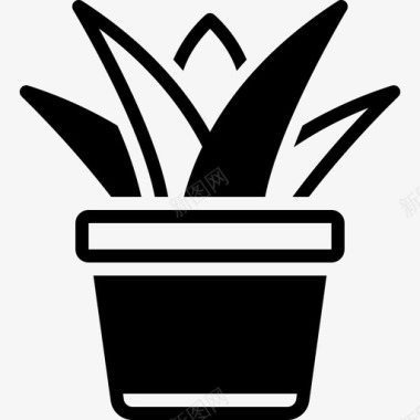 多汁植物芦荟草药图标