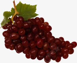 红葡萄收集水果坚果素材