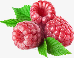 树莓图水果食物树莓树莓图水果食物素材