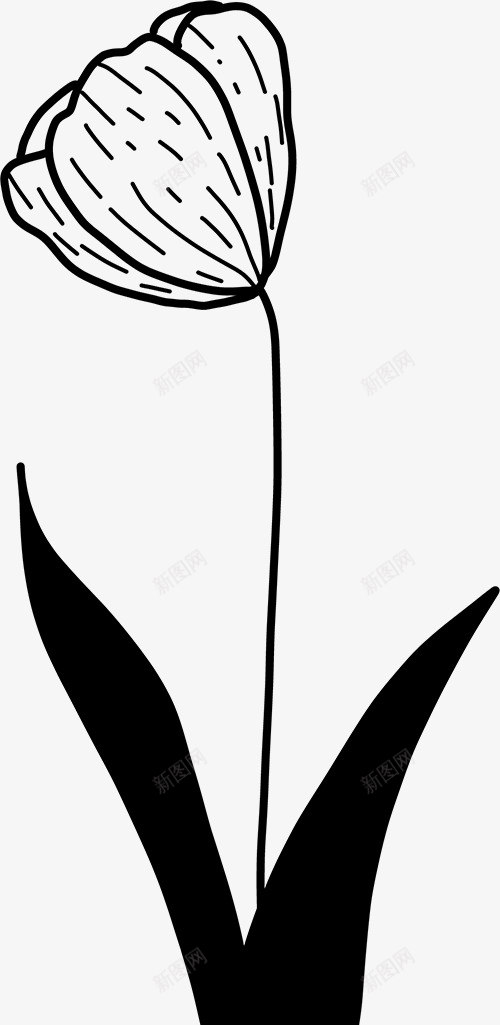 花卉植物插图图免扣绿植高清png免抠素材_新图网 https://ixintu.com 花卉 植物 插图 图免 绿植 高清