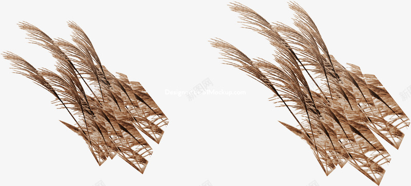 小麦麦穗涂设计png免抠素材_新图网 https://ixintu.com 小麦 麦穗 设计