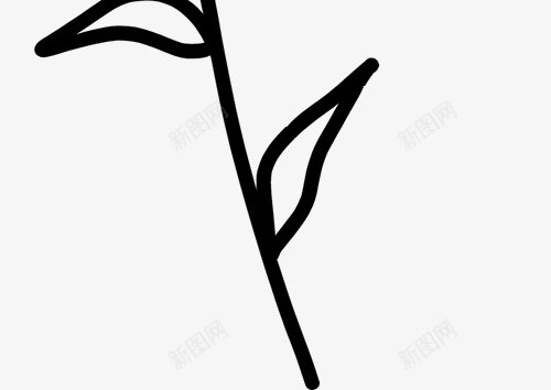 花卉植物插图图免扣绿植高清png免抠素材_新图网 https://ixintu.com 花卉 植物 插图 图免 绿植 高清