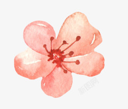 手绘水彩木棉花花卉植物透明免扣图案手账PS16手绘素材