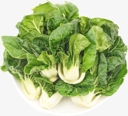 生鲜蔬菜一盘新鲜的奶白菜高清图片